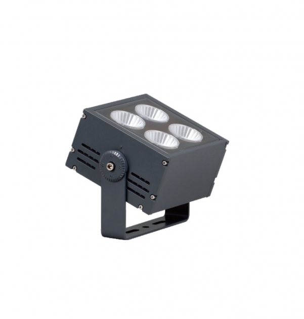 LED Projection Light
